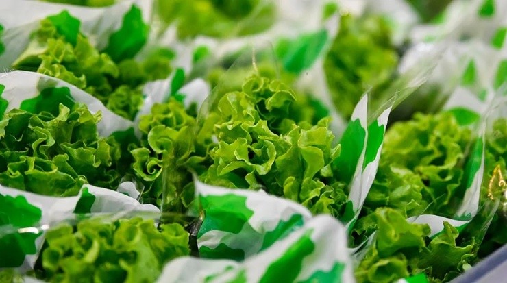 Las verduras son alimentos saludables (Imago)