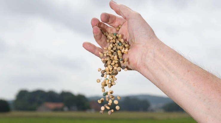 Es preferible consumirlos luego de realizar alguna actividad física (Imago)
