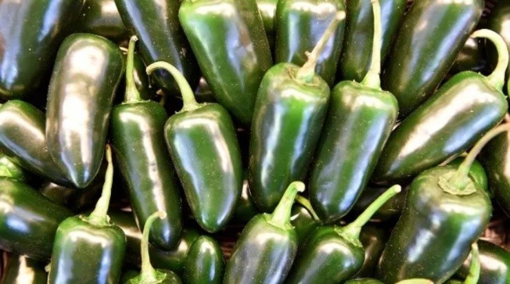 Mejor dejar los jalapeños para otro momento del día (Imago)