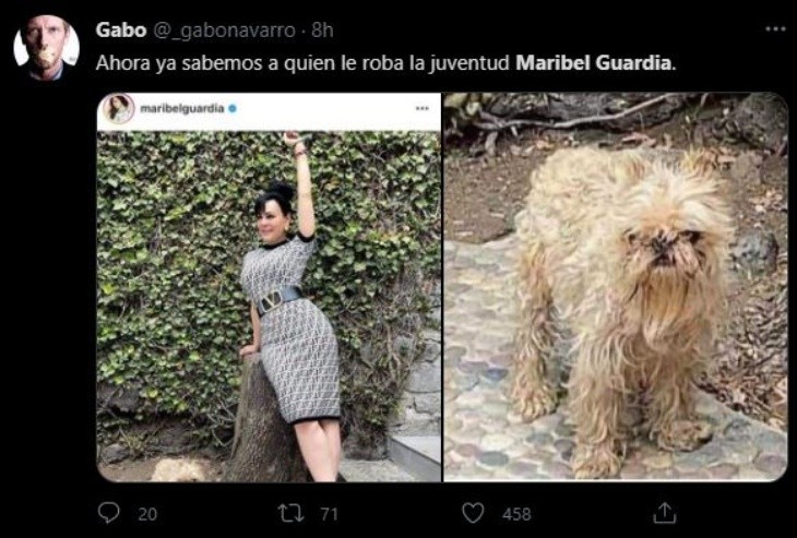 (Twitter: @elgabonavarro)