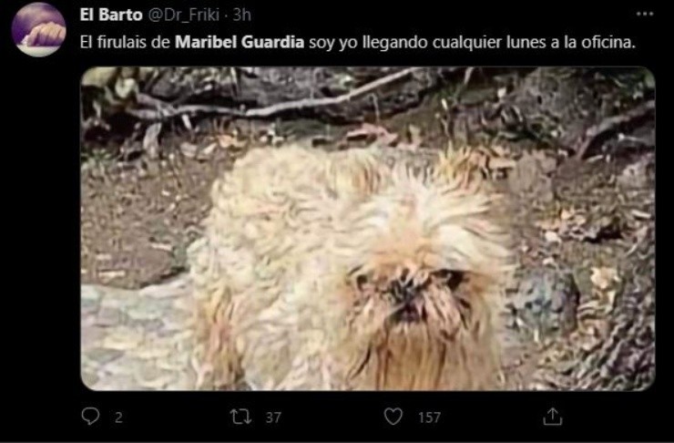 (Twitter: @dr_friki)