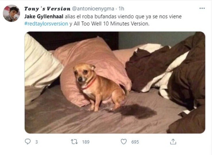 Foto: @antonioenygma