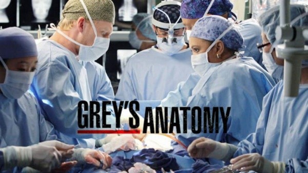 Grey’s Anatomy tendrá una temporada 17 vibrante. Foto: ABC