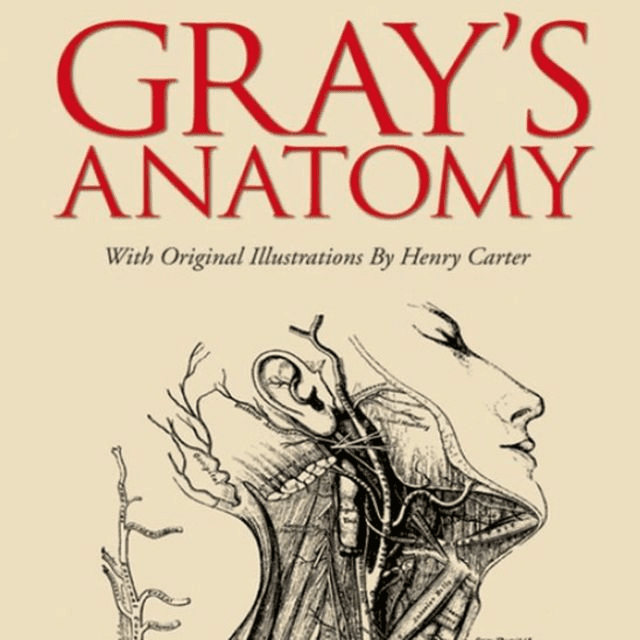 Anatomía de Gray (BBC)