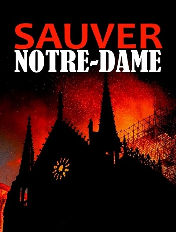 saving notre dame national geographic