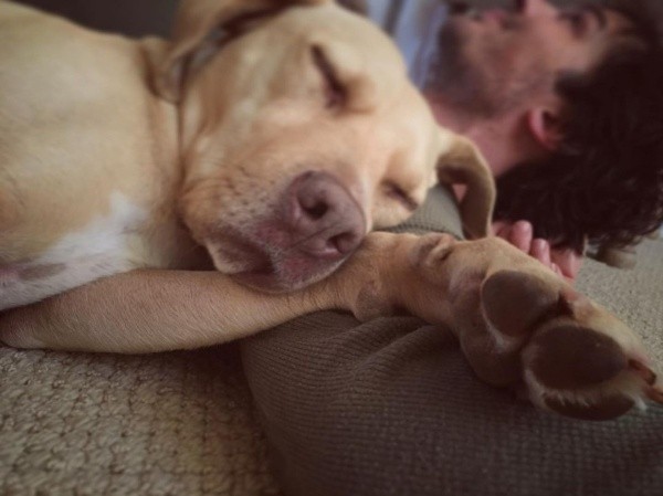 Ian Somerhalder y uno de sus perros. Foto: (@iansomerhalder)