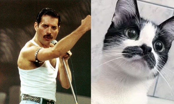 ¿Parecidos? Foto: Getty