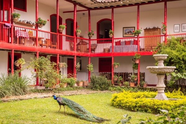 Café con aroma de mujer