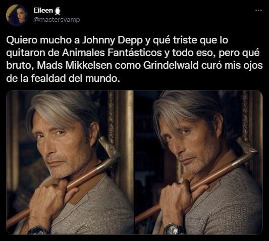 Twitter animales fantásticos