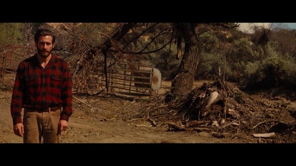 nocturnal animales jake gyllenhaal