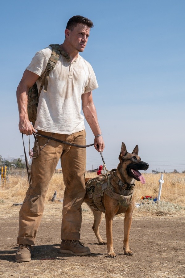 Channing Tatum en Dog, un viaje salvaje. Foto: (Diamond Films)