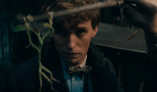 Animales Fantásticos 3