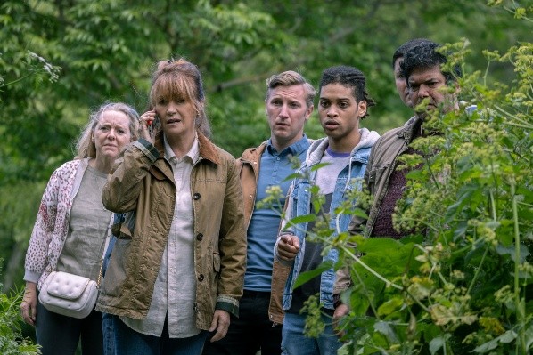 Harry Wild (Acorn TV).