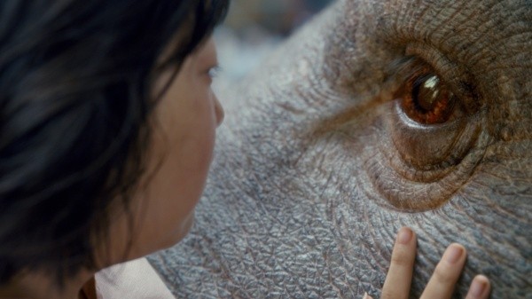 okja netflix
