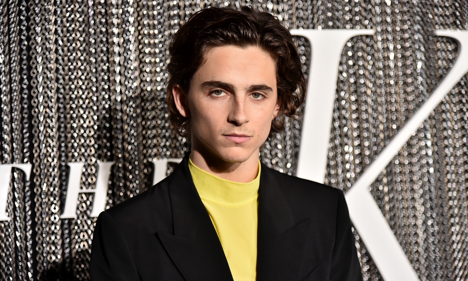 timothee chalamet