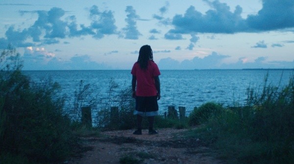 Descendant. Foto: (Netflix)