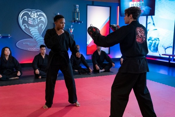 cobra kai netflix