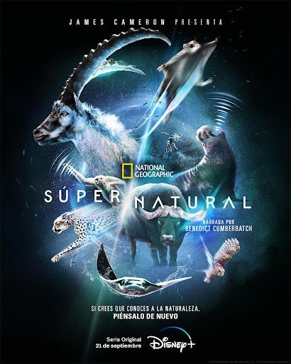 Super/Natural (Disney+).