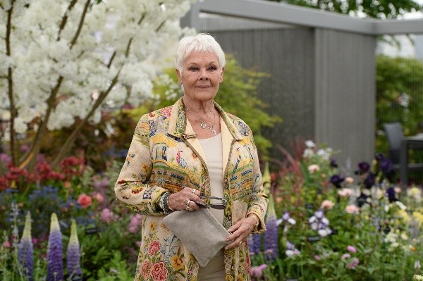 Judi Dench fue fulminante con The Crown. Foto: (Getty)
