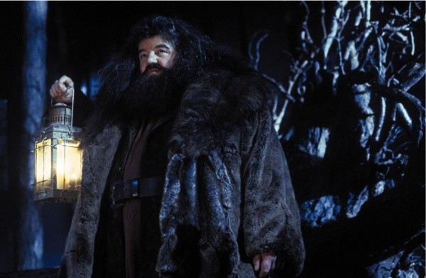 robbie coltrane hagrid harry potter