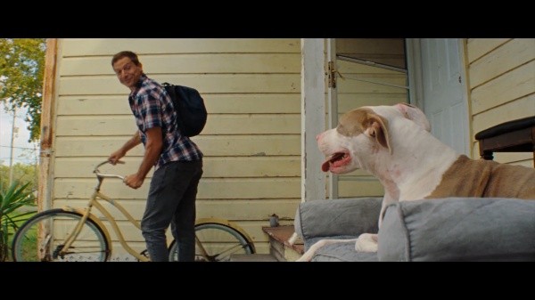 red rocket sean baker