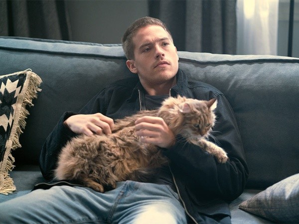 Dylan Sprouse y Virginia Gardner protagonizan Maravilloso Desastre (Diamond Films).