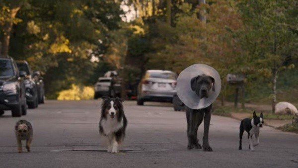 hijosdeperra-universal