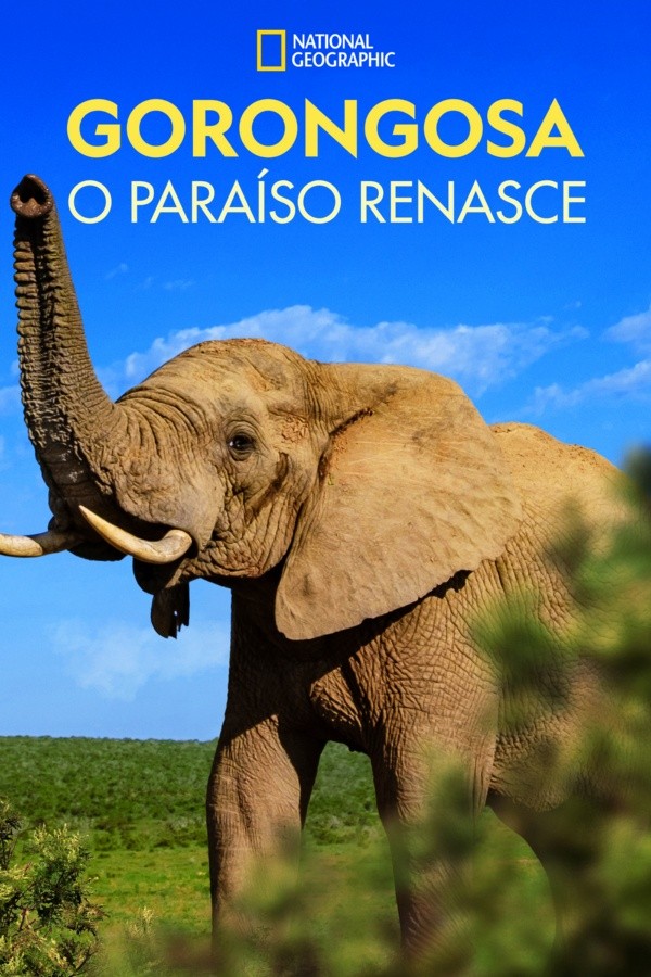 Gorongosa: Paradise Reborn (IMDb).