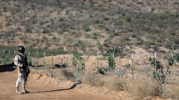 Los narcotraficantes elevaron la tasa de violencia en los distintos puntos de la ciudad (Getty Images)